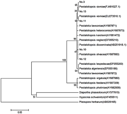 Figure 2