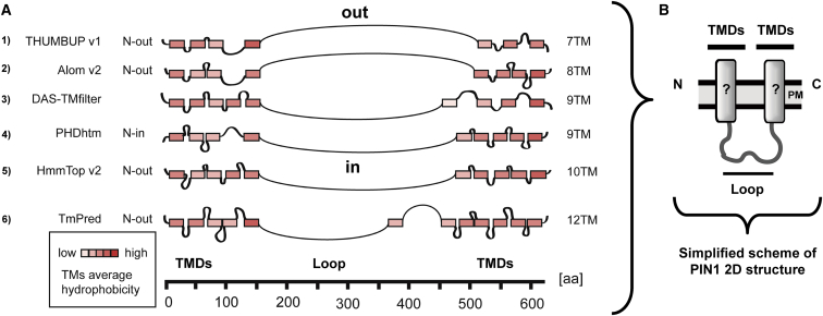 Figure 1