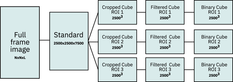 Fig. 8