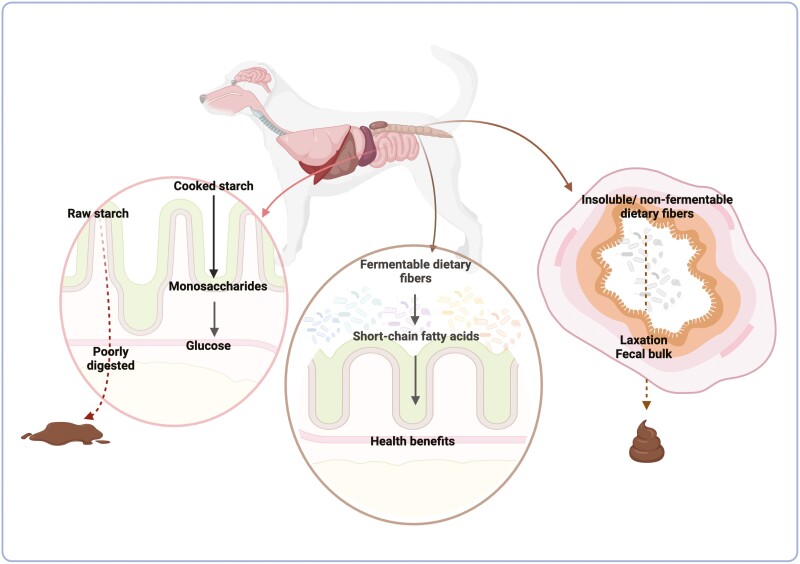 Figure 4.