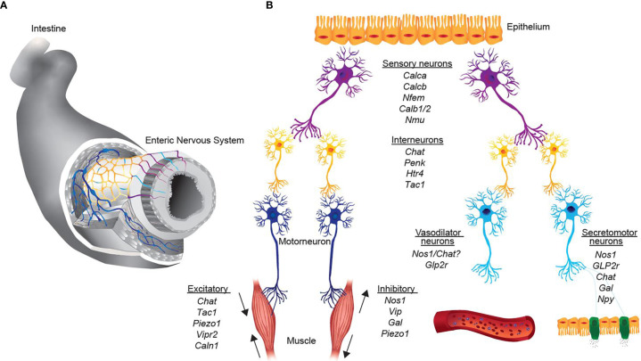 Figure 1