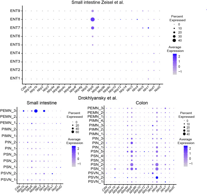 Figure 3