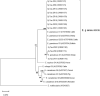 Fig. 3