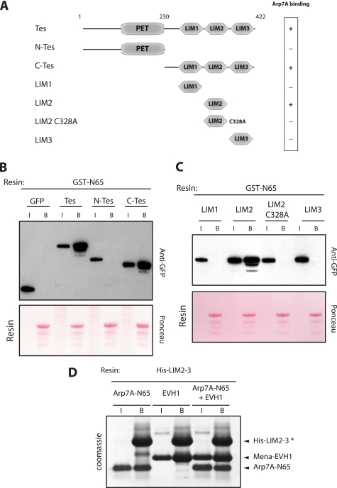 FIGURE 4.