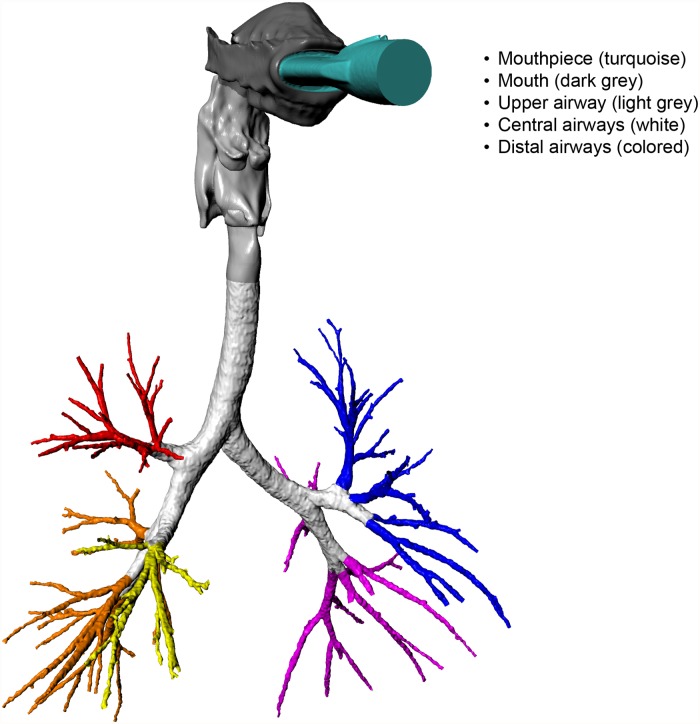 Fig 1