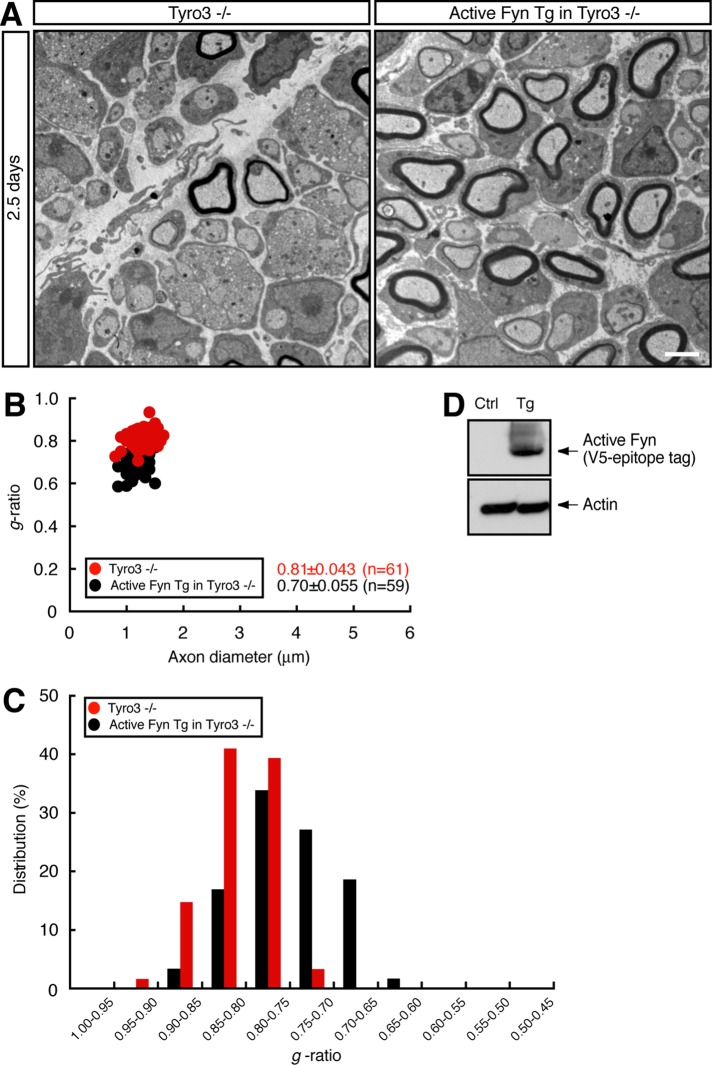 FIGURE 6: