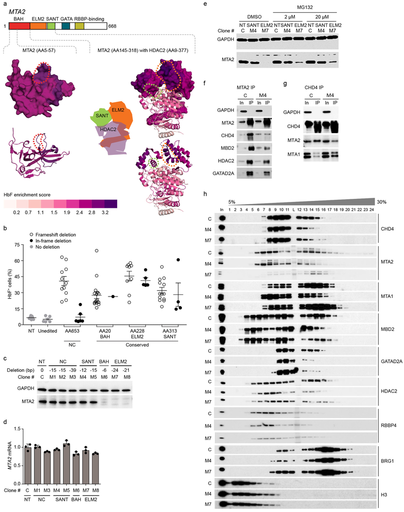 Fig. 4: