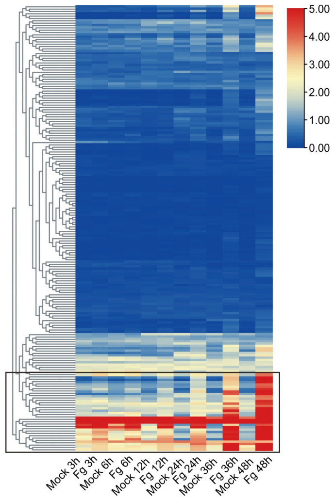 Figure 6