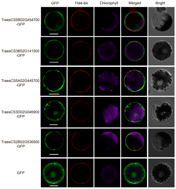 Figure 10