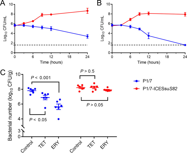 FIG 6