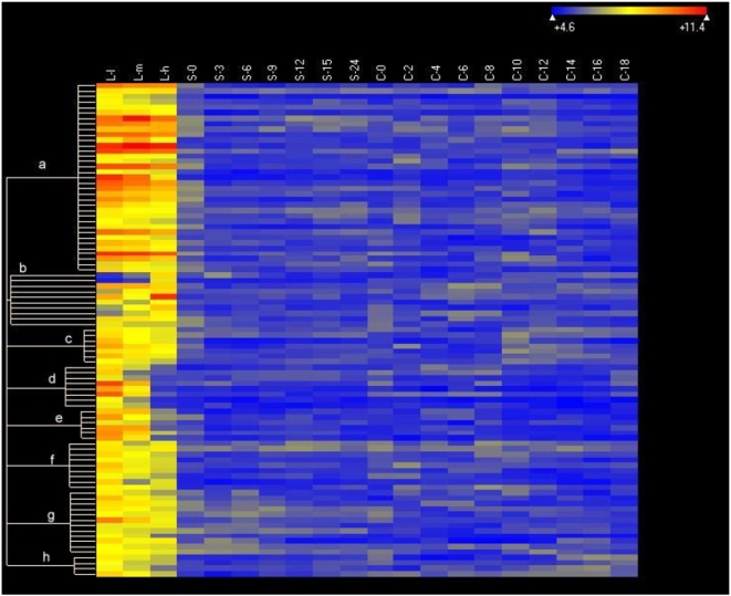 Figure 6