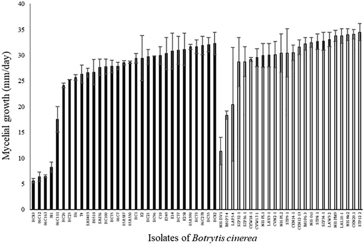 FIGURE 3