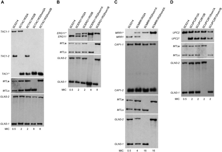 FIG 2