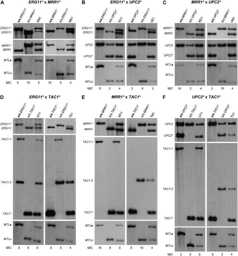 FIG 3