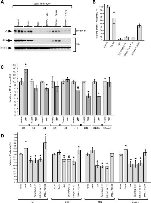 Figure 4.