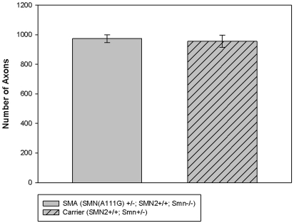 Figure 6.