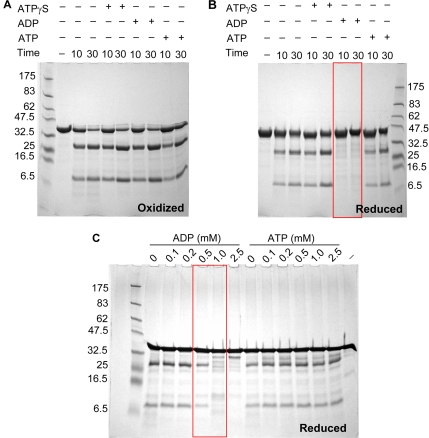 Figure 5.