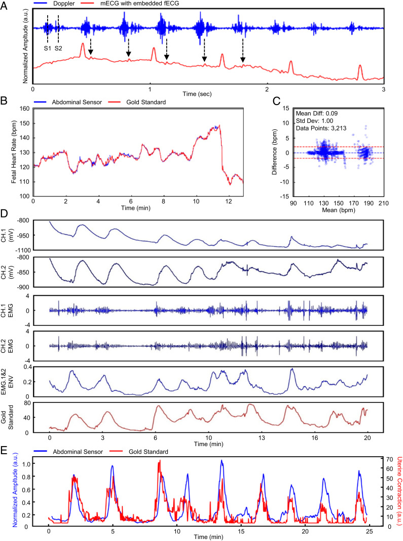 Fig. 3.