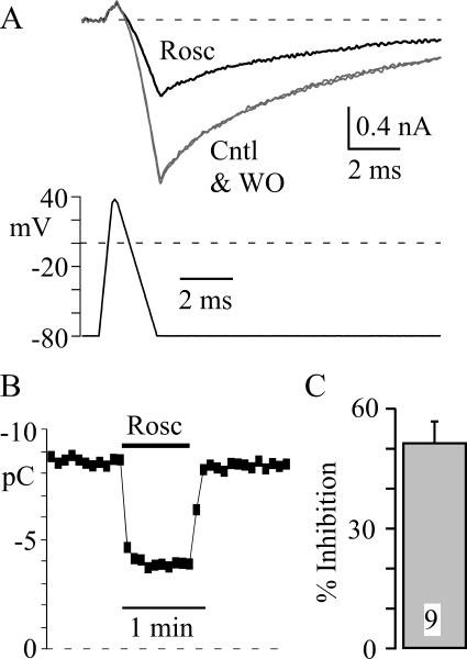 Fig. 8.