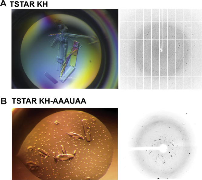 Fig. 9