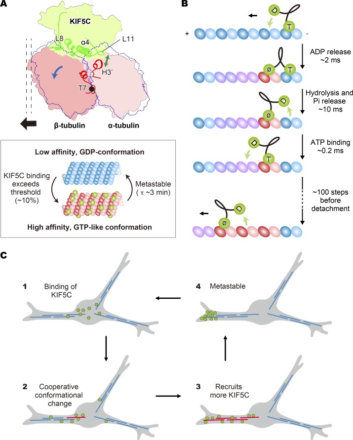 Figure 10.