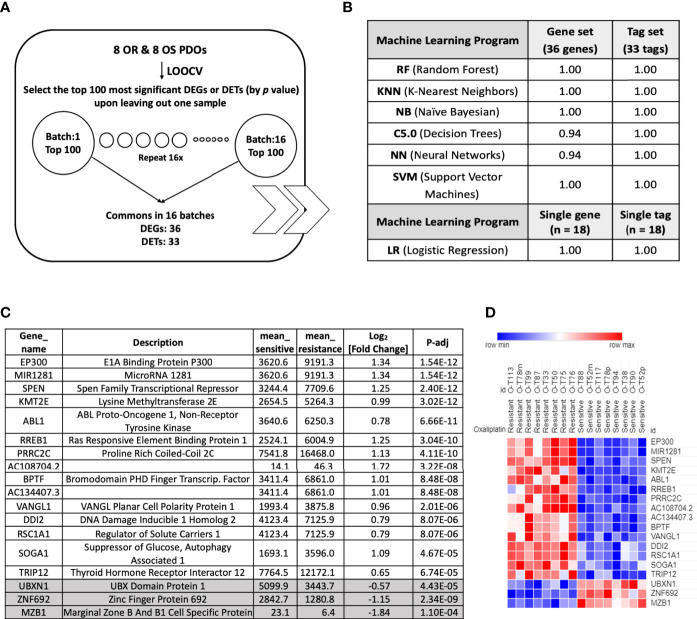 Figure 6