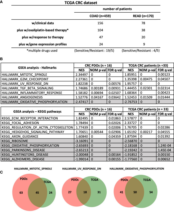 Figure 5