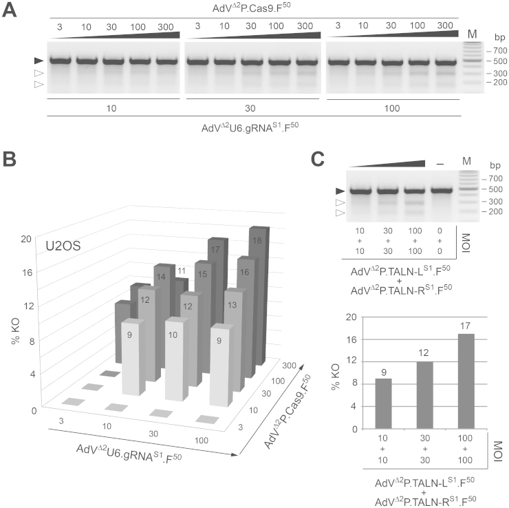 Figure 5