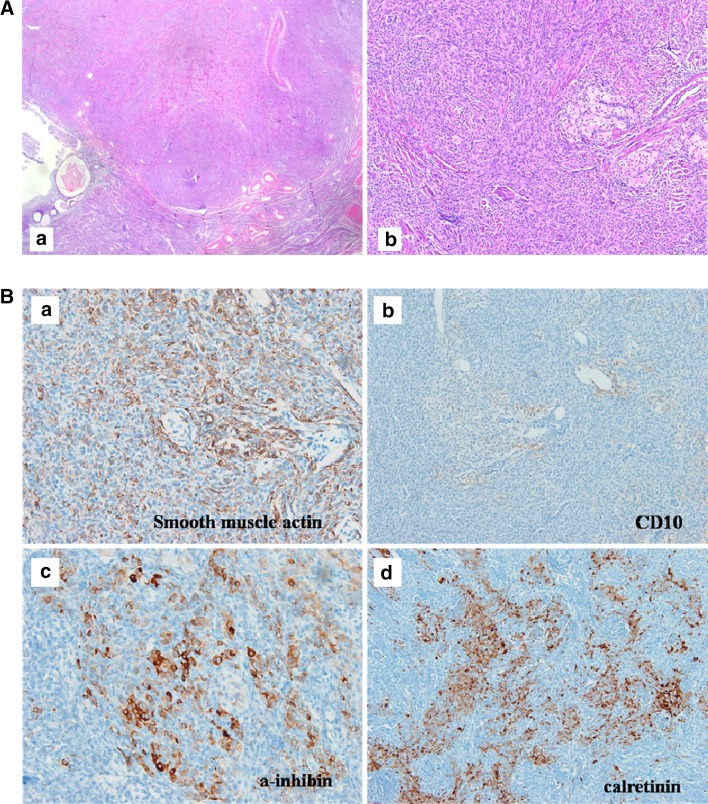 Fig. 4