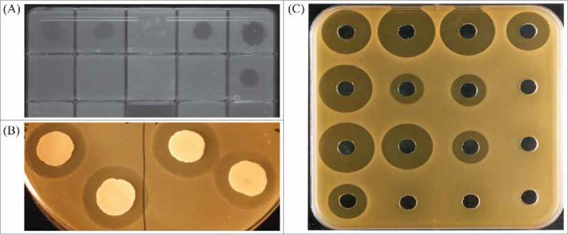 Figure 1.