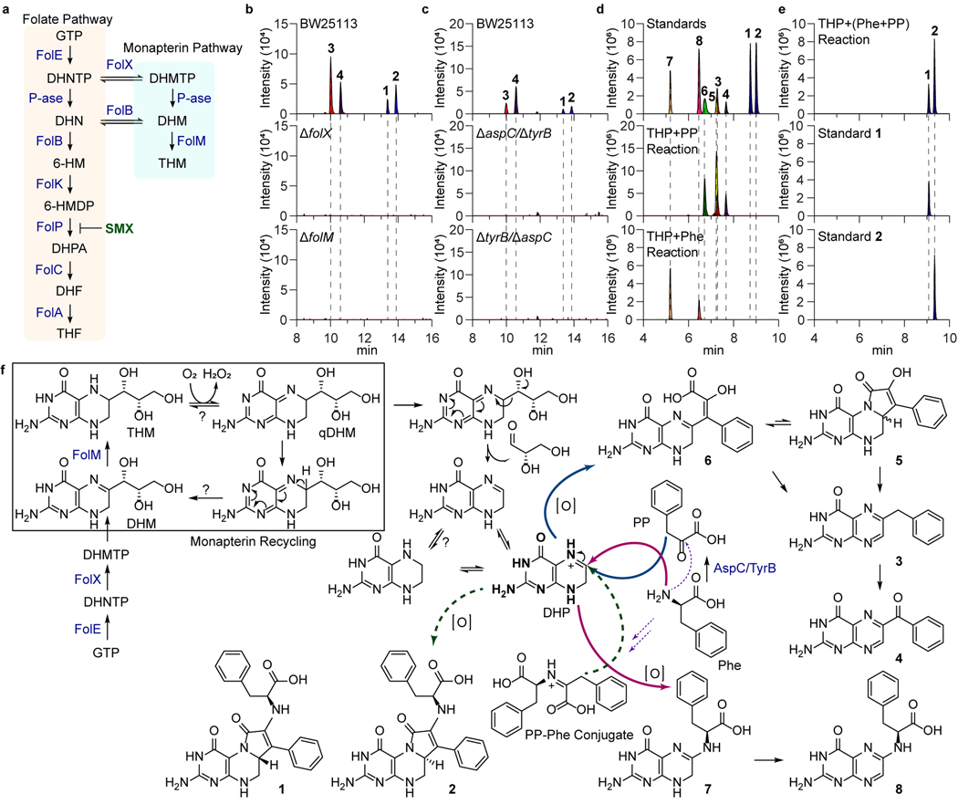 Fig. 2.