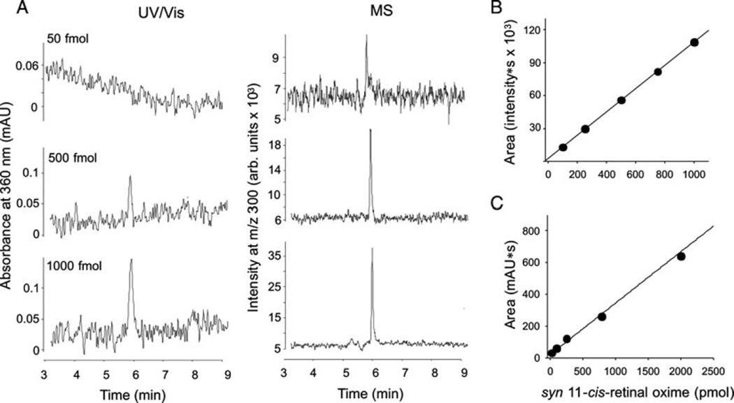 Fig. 13.3