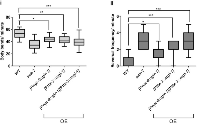 Figure 8—figure supplement 1.