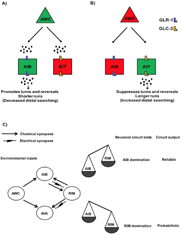 Figure 2—figure supplement 1.