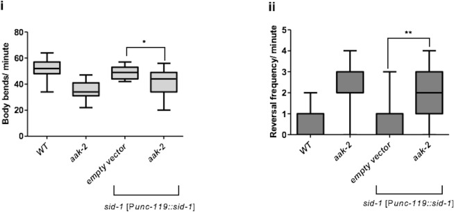 Figure 1—figure supplement 2.