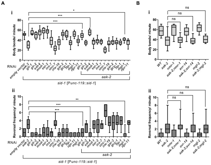 Figure 3—figure supplement 1.