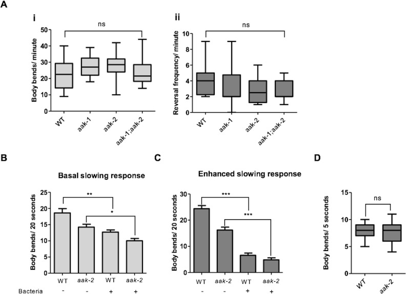 Figure 1—figure supplement 1.