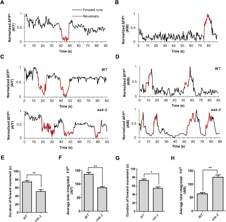 Figure 4—figure supplement 2.