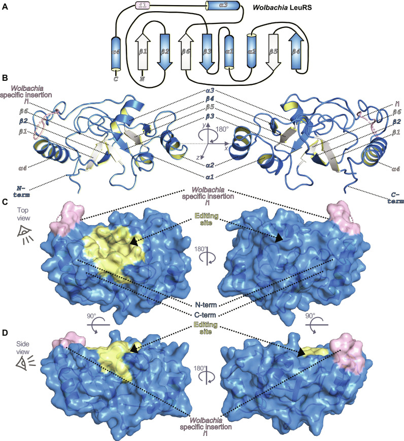 Fig. 2.