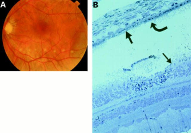 Figure 3  