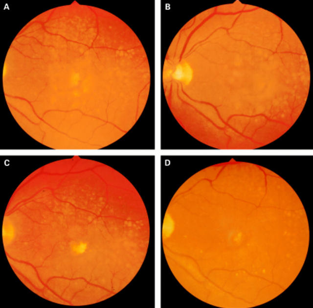 Figure 1  