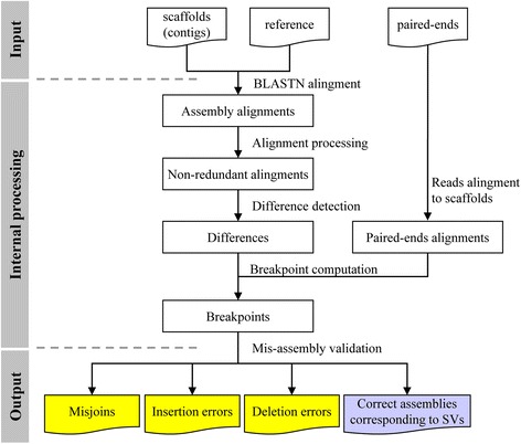 Fig. 1