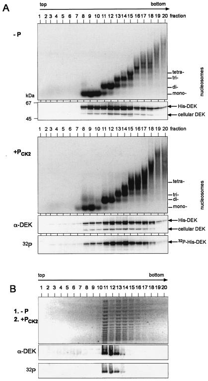 FIG. 8.