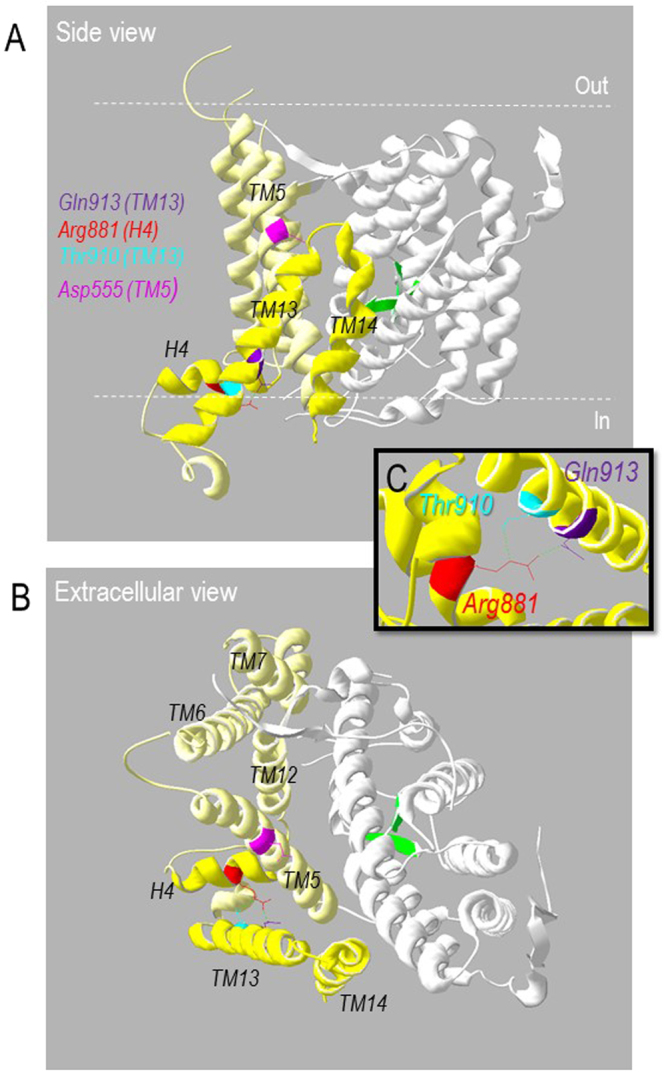 Figure 10