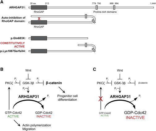 Figure 6