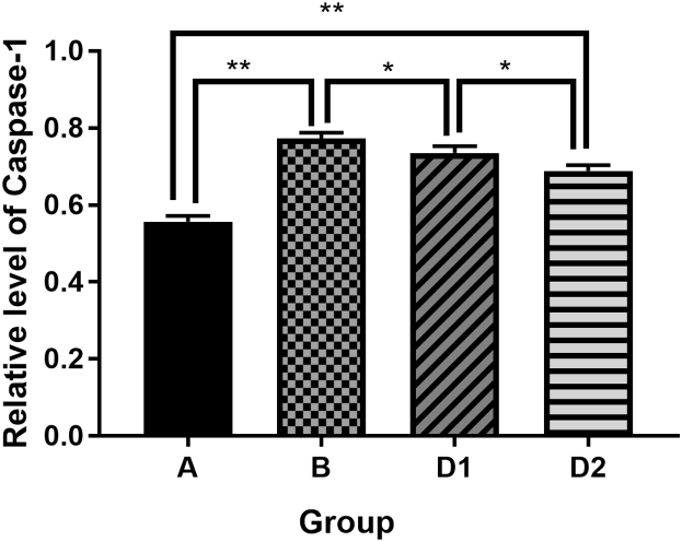 Fig. 6