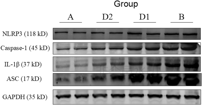 Fig. 3