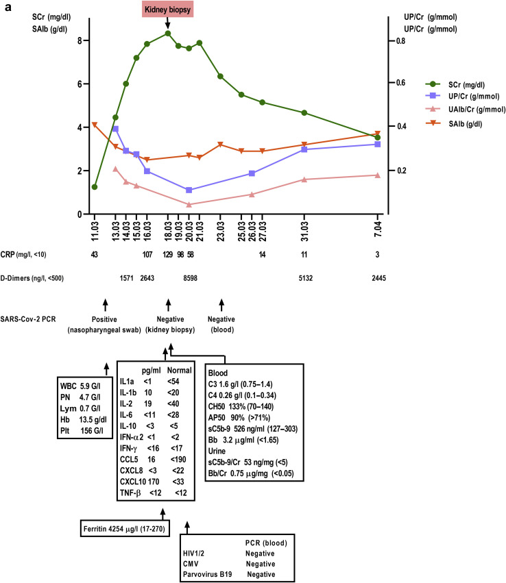 Figure 1