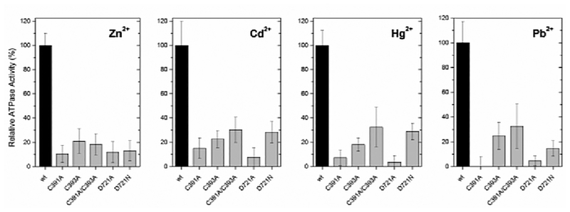 Figure 3: