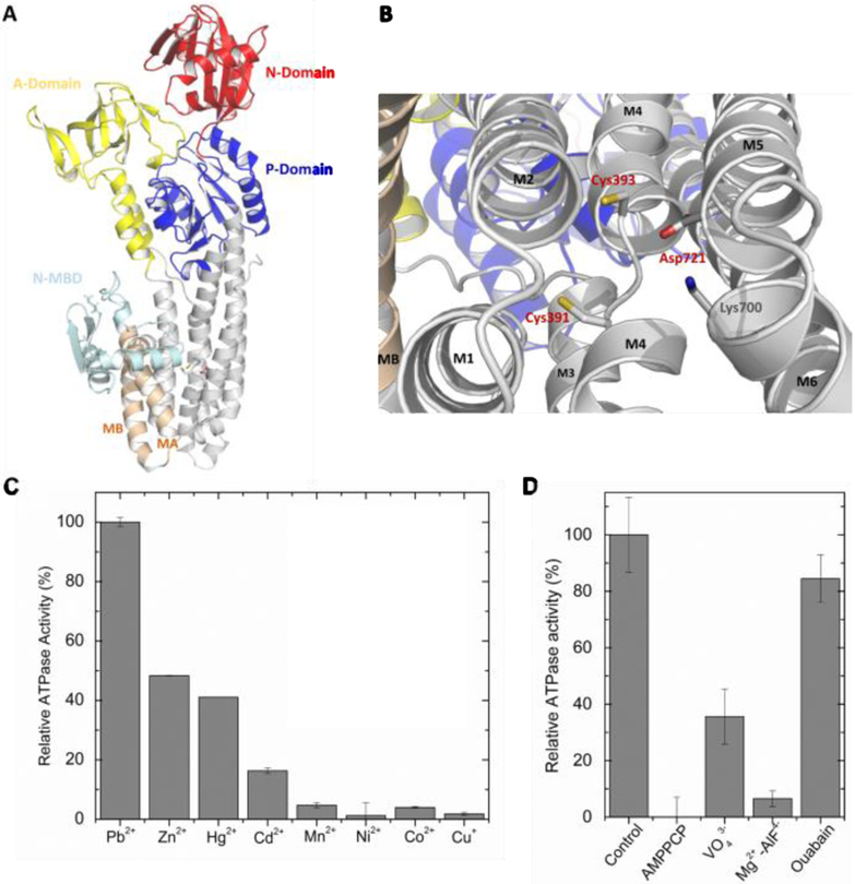 Figure 1: